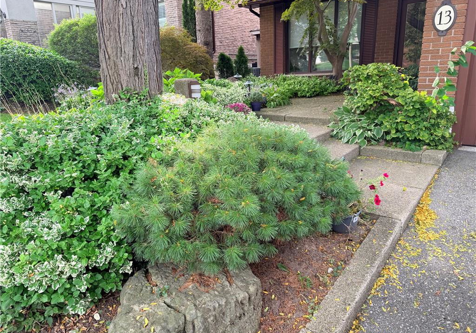 13-mistflower-road-north-york-ontario-40866754