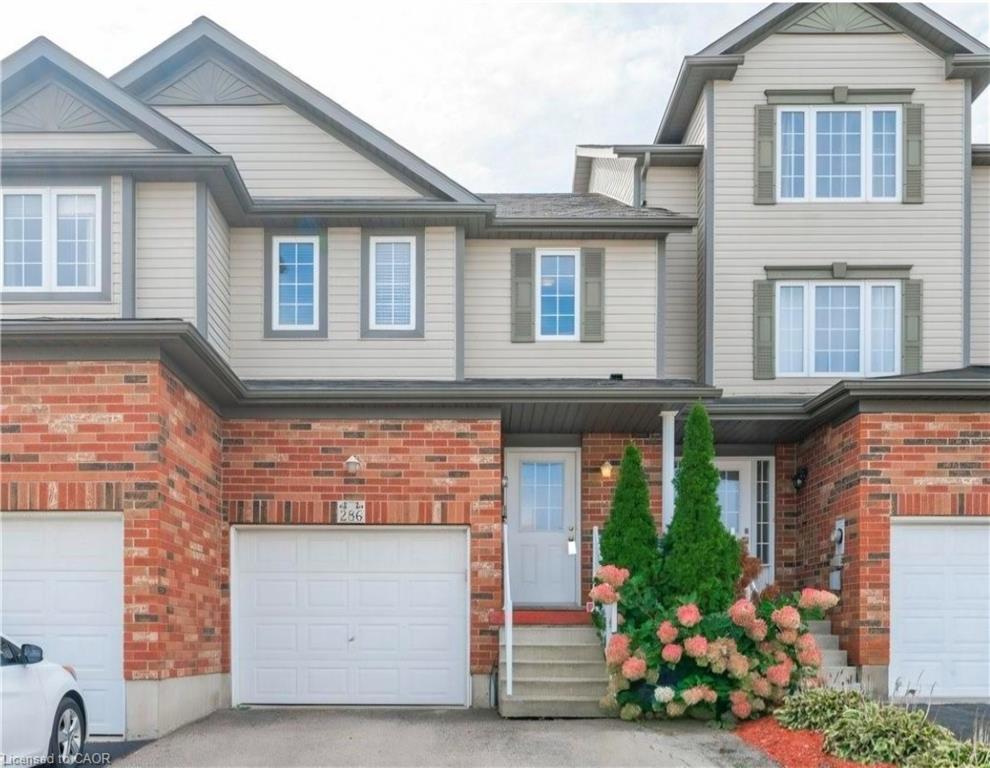 286-sophia-crescent-kitchener-ontario-40866989
