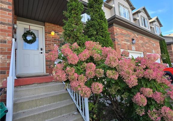 286-sophia-crescent-kitchener-ontario-40866989