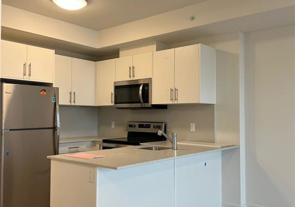 103-roger-street-waterloo-ontario-40867125