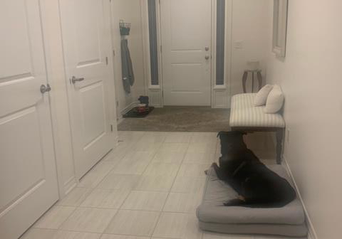 77-diana-avenue-brantford-ontario-40868189